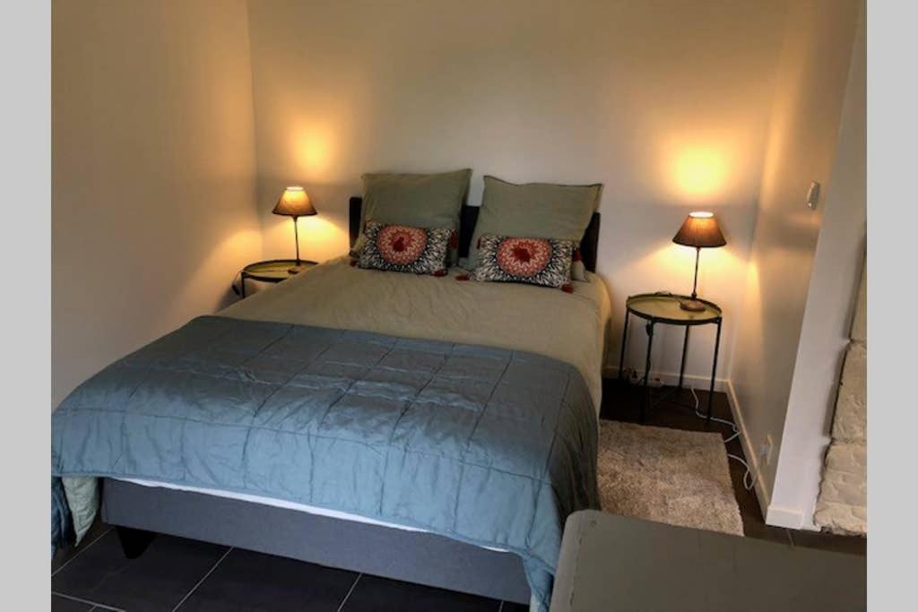 Le Logis De La Tour Saint Jacques Villa Chouze-sur-Loire Ngoại thất bức ảnh