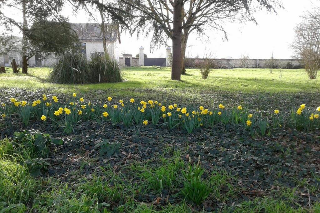 Le Logis De La Tour Saint Jacques Villa Chouze-sur-Loire Ngoại thất bức ảnh